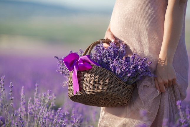 milkie blog zelena lekarna bylinky tehotenstvi female-lavender-field